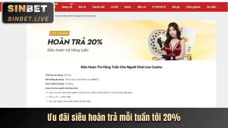 Chương trình VIP độc quyền Rwin